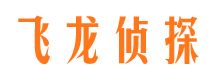 大安飞龙私家侦探公司